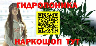 spice Лесосибирск